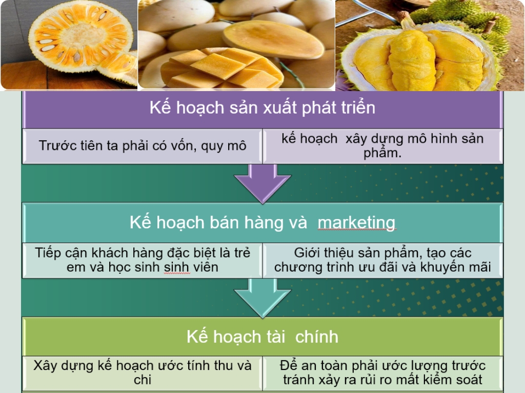 VIII. Mô Hình Kinh Doanh: